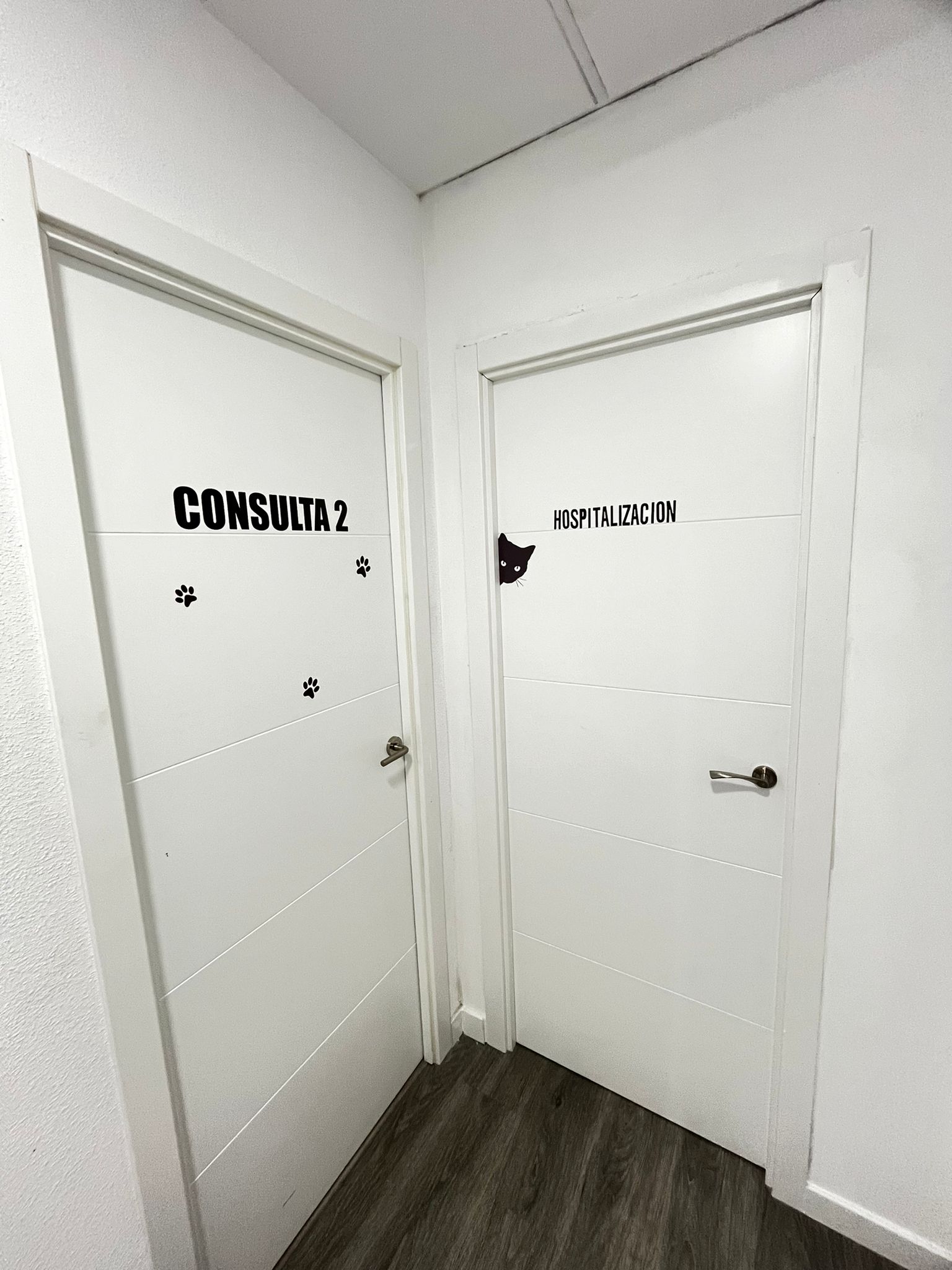 Consulta veterinaria adicional