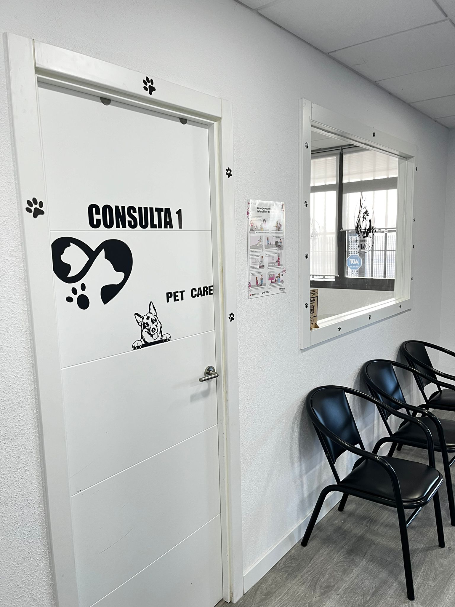 Consulta veterinaria principal