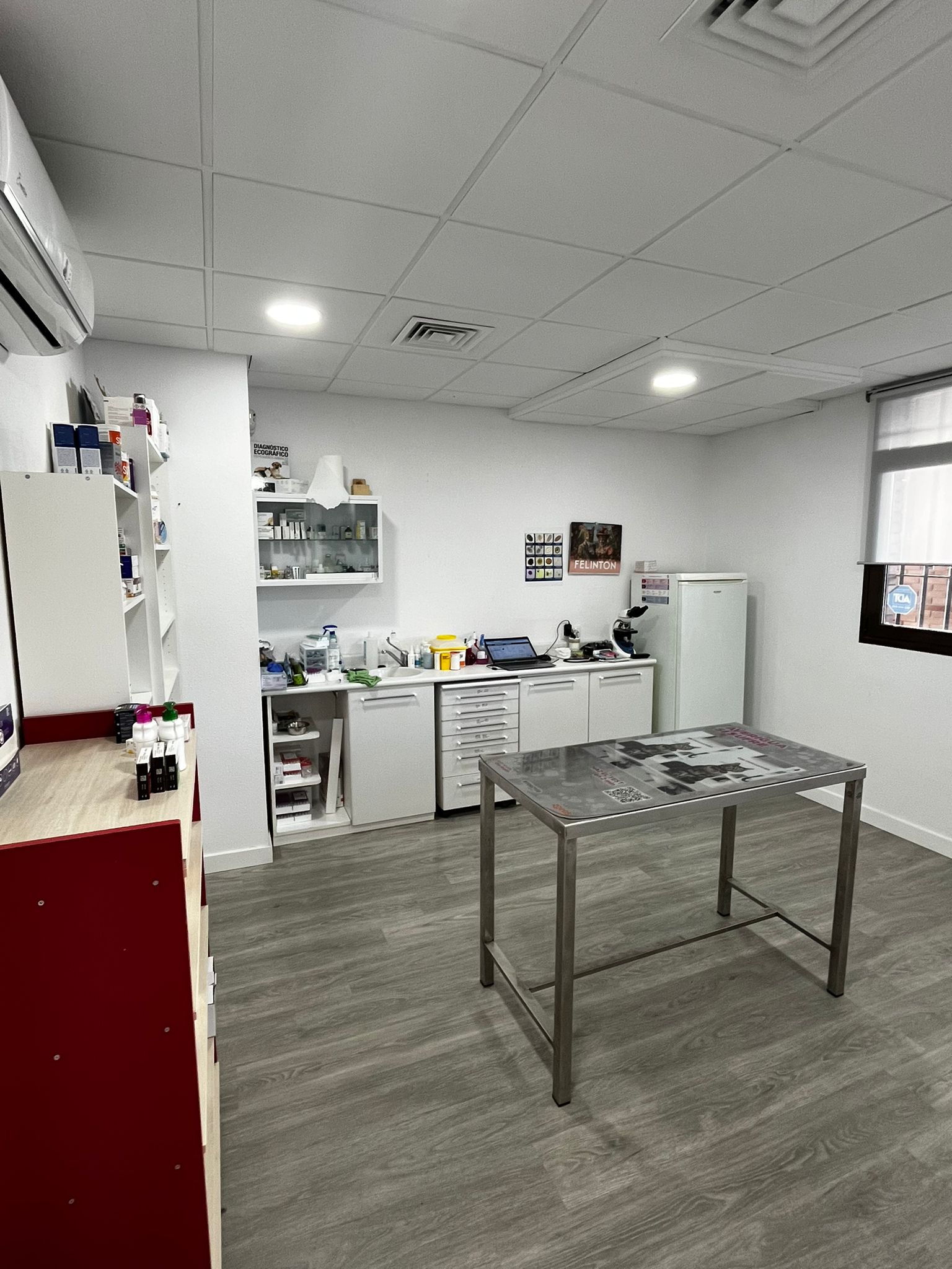 Detalle de consulta veterinaria